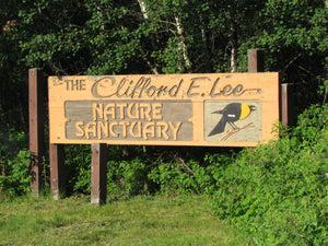 Clifford E. Lee Nature Sanctuary | YEG