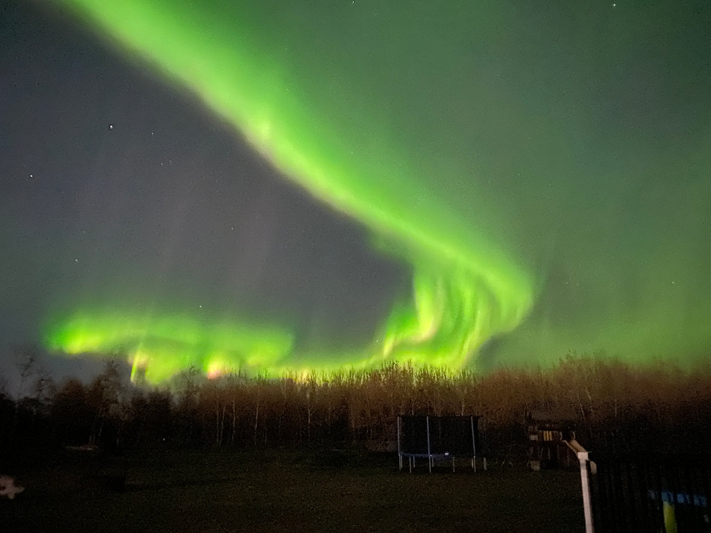 Viewing the Aurora Borealis | Alberta Canada