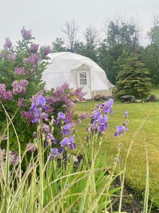 26' Geodesic Dome 4 Season Greenhouse