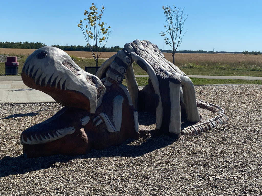 Meadowview Dinosaur Park | Leduc, Alberta