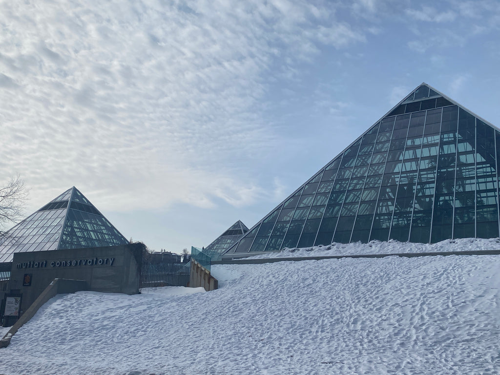 Muttart Conservatory | Edmonton