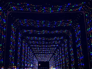 Magic of Lights | Rad Torque Raceway | Drive Thru Lights YEG